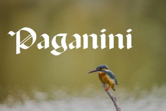 How Paganini Font Brings Gothic Elegance to Editorial Design