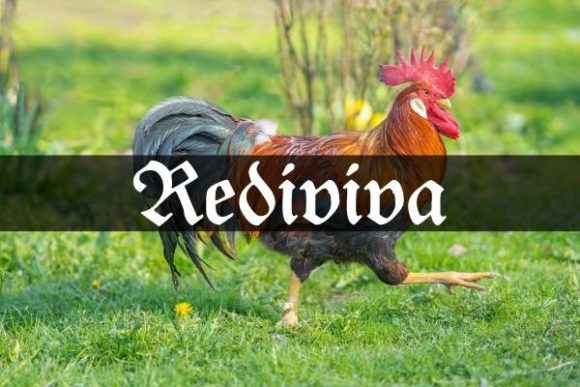 Rediviva: A Bold Blackletter Font for Editorial Design and Digital Publishing