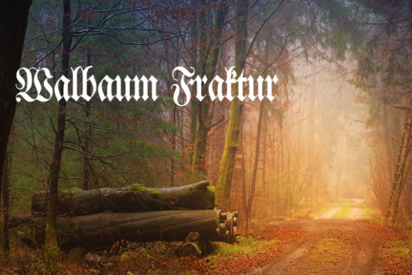 Walbaum Fraktur: A Royal Blackletter Font for Elegant Branding
